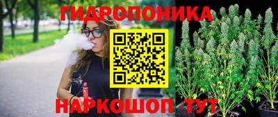 apvp Краснознаменск