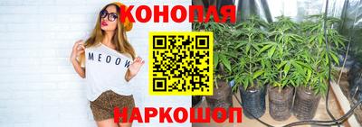мдпв Краснодар