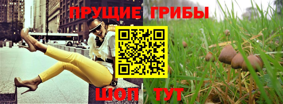 Галлюциногенные грибы прущие грибы Усинск